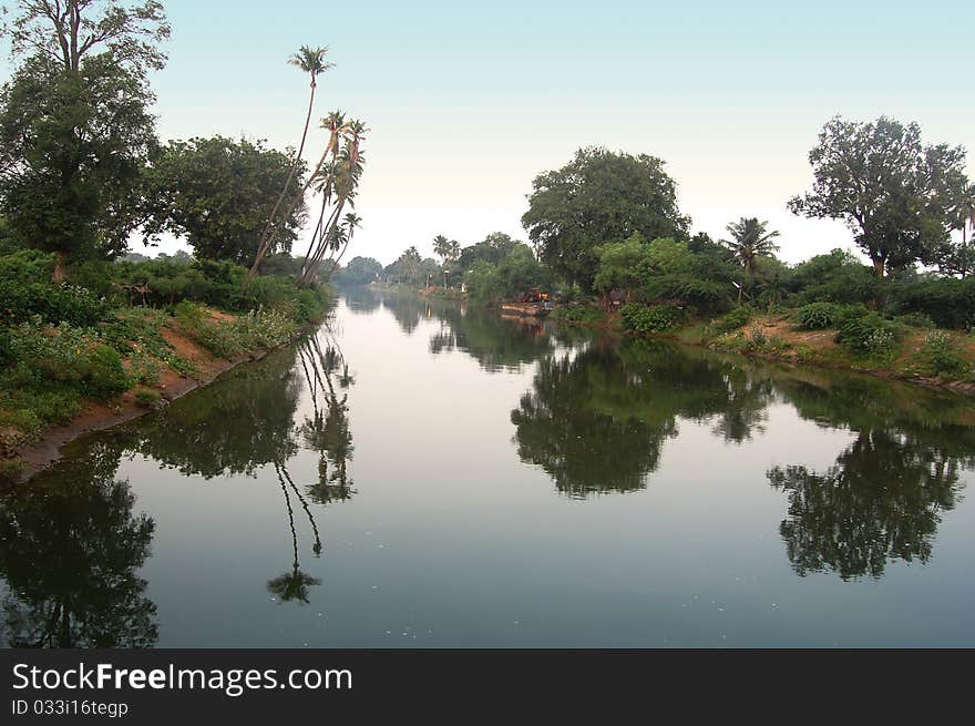 Taken on the early morning at Thiruvaikavur, Tanjore District, Tamilnadu, India. Taken on the early morning at Thiruvaikavur, Tanjore District, Tamilnadu, India.