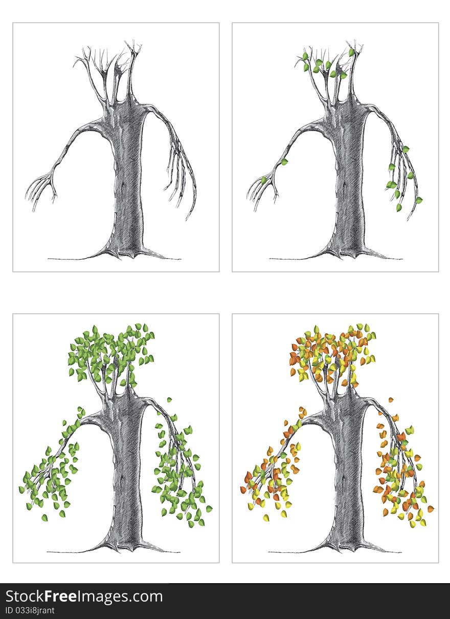 Seasons On A Tree