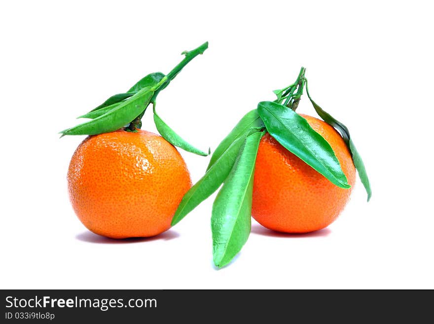 Two tangerine with a few green leaves - white background