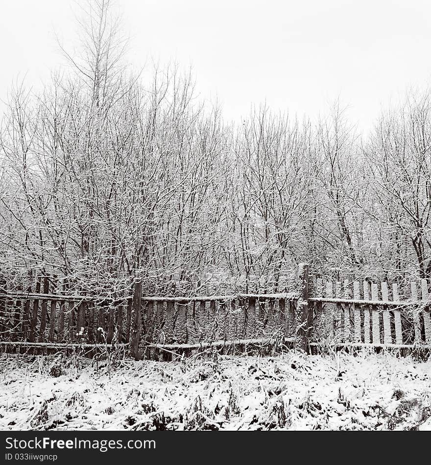 Old fence in a snowy forest