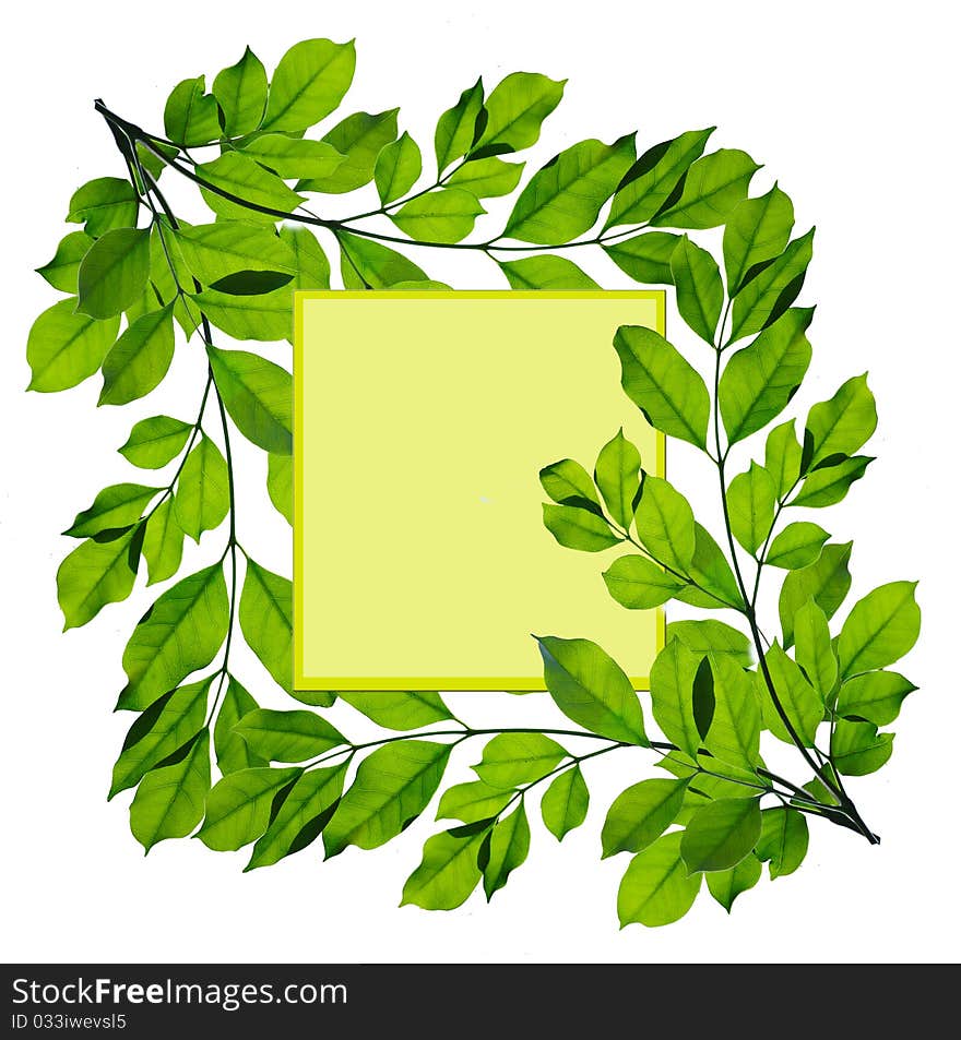 Green leaf frame isolated