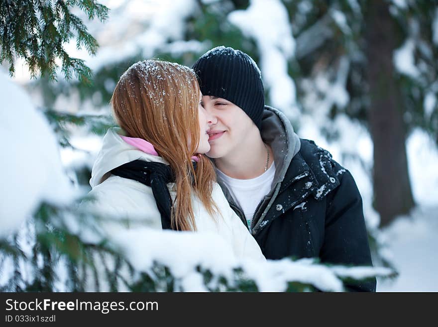 Young pair walks in wood, winter. Young pair walks in wood, winter