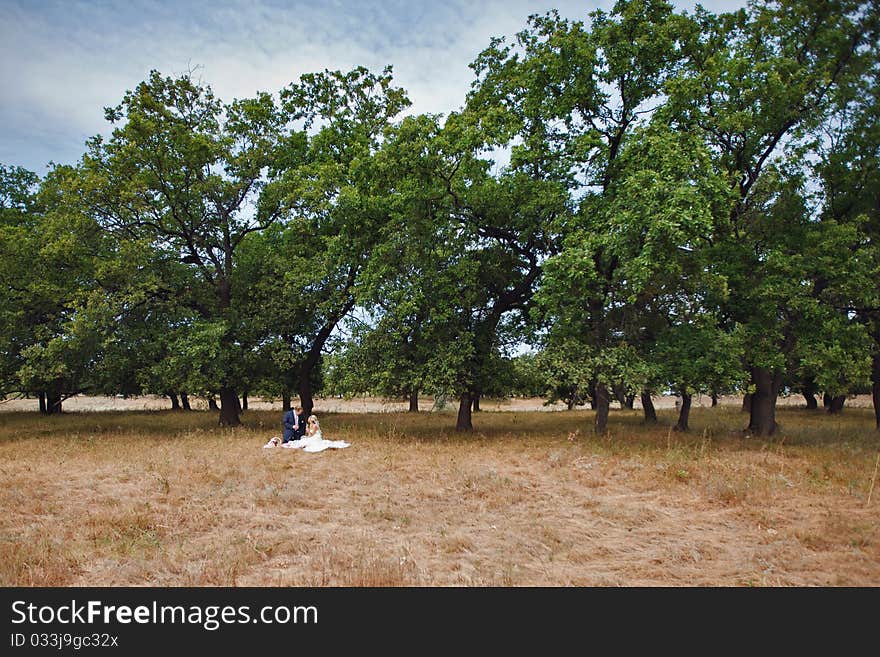 Picnic under the trees of bride and groom. Picnic under the trees of bride and groom