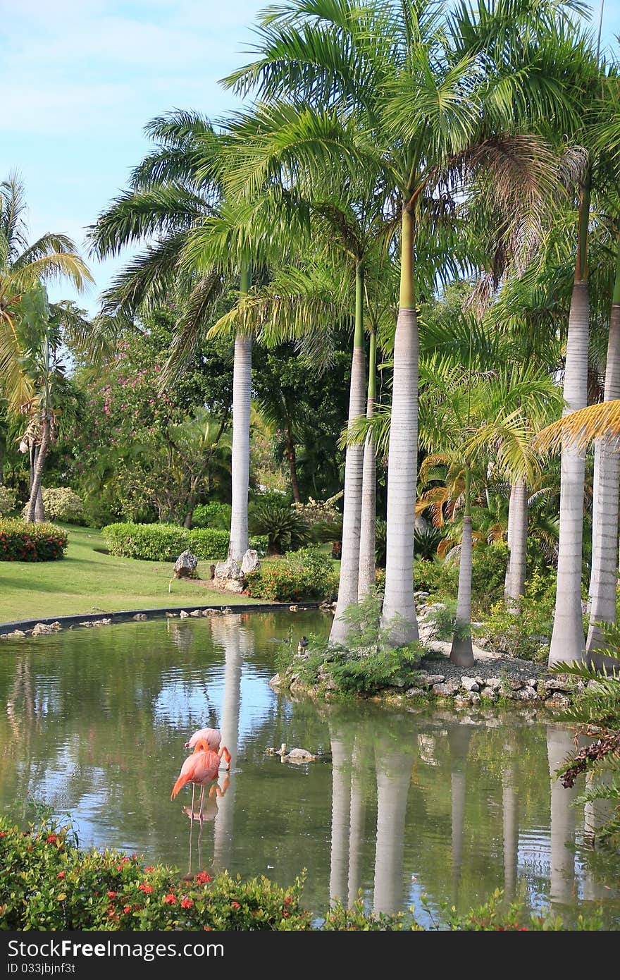 Tropical resort with palm trees and flamingo