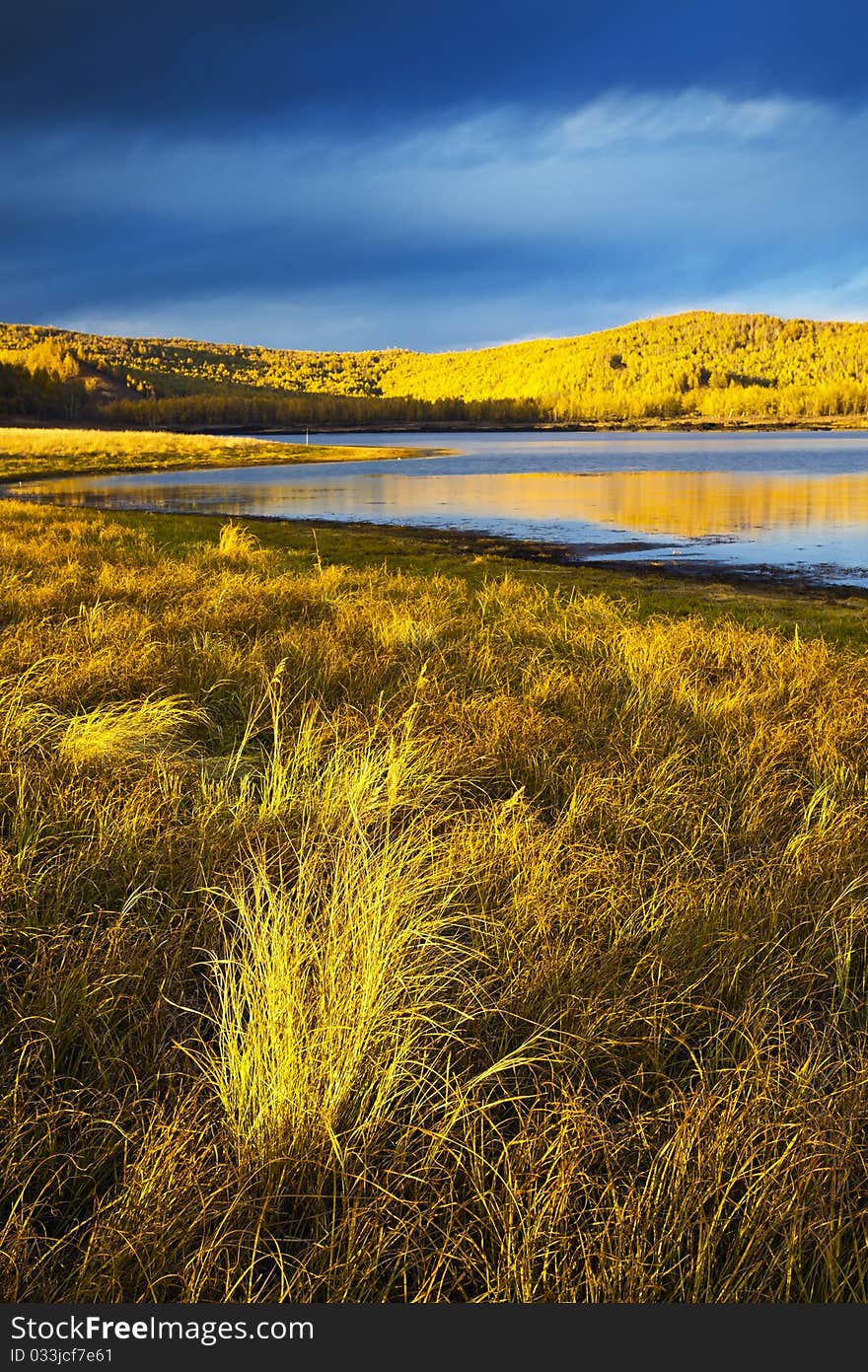 Lake and forest in autumn