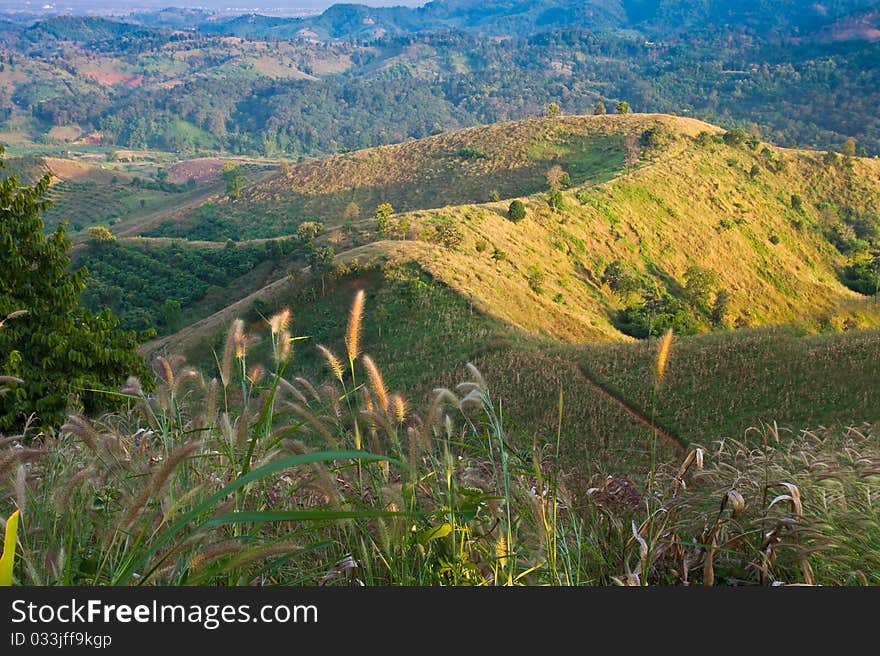 A valley  in northern Thailand