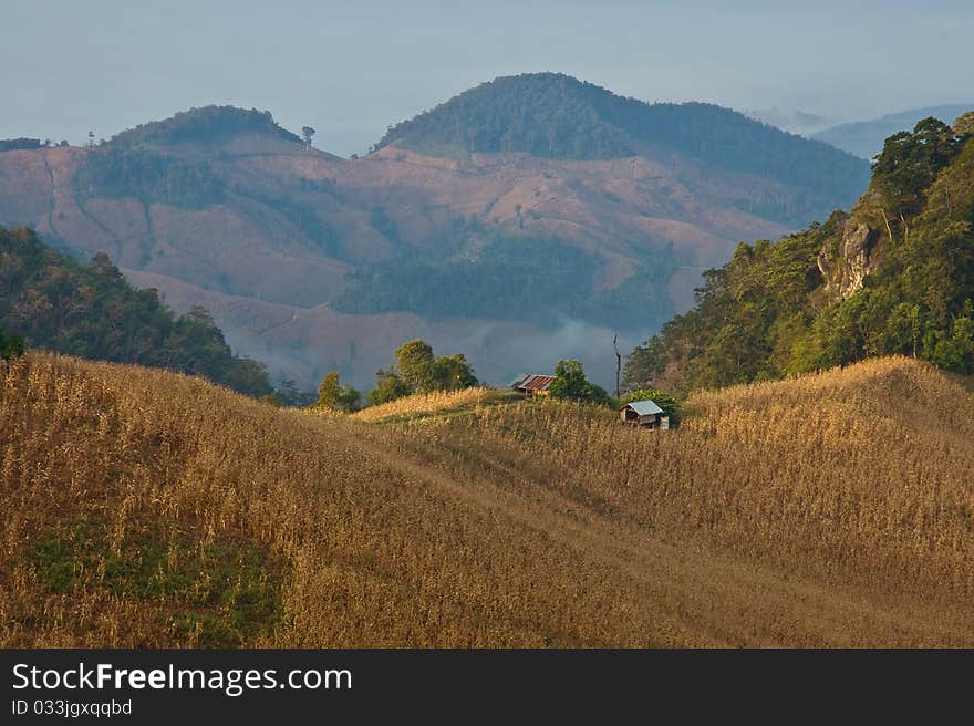 Hut in the valley  , northern of Thailand