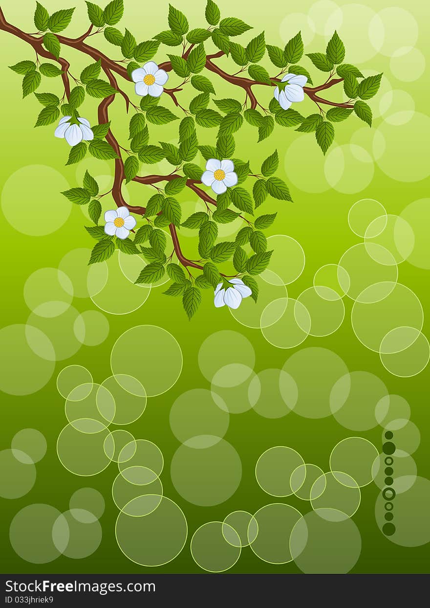 Floral background with a tree branch. Vector illustration.