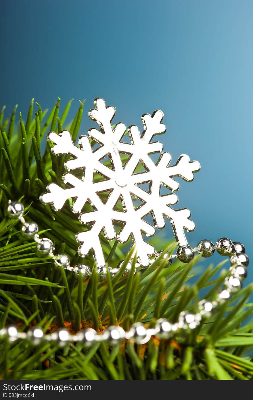 Branch of Christmas tree with snowflake