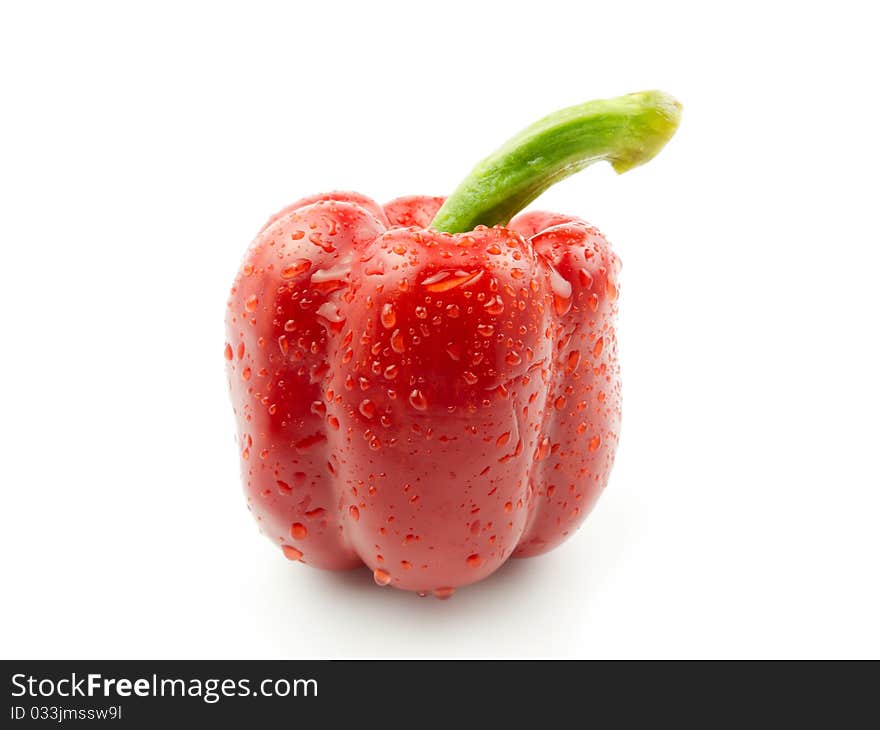 Red pepper on white background