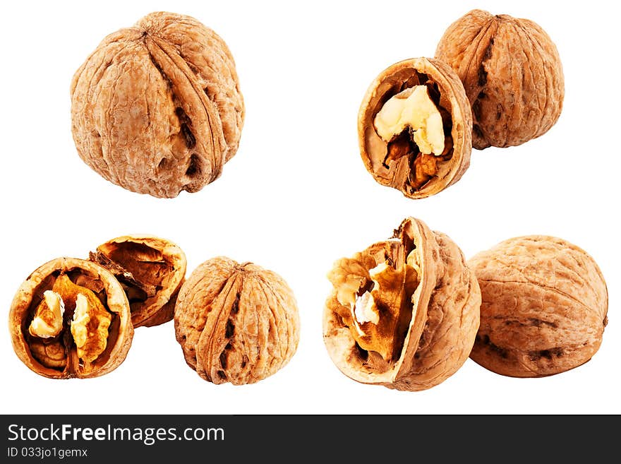 Walnuts in different perspectives isolated on white background