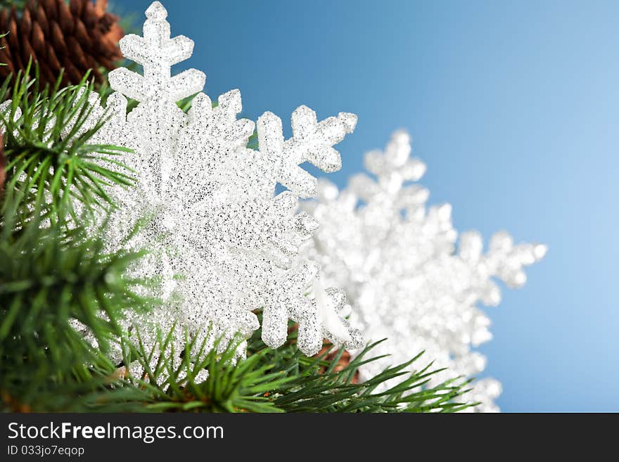 Branch of Christmas tree with snowflake