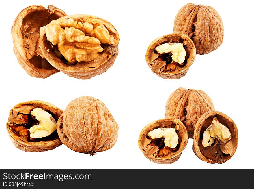 Walnuts in different perspectives isolated on white background