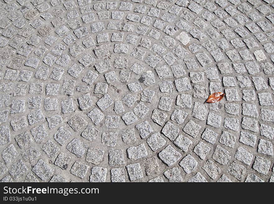 The lonely sheet has fallen from a tree to a stone blocks