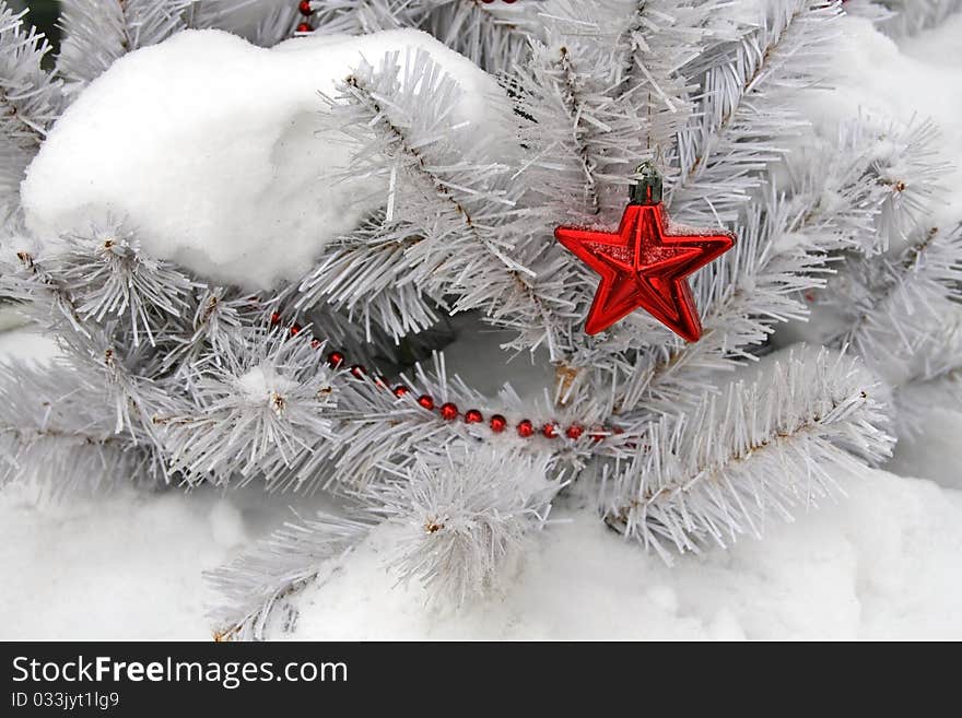 White Christmas spruce decorated with a red star.