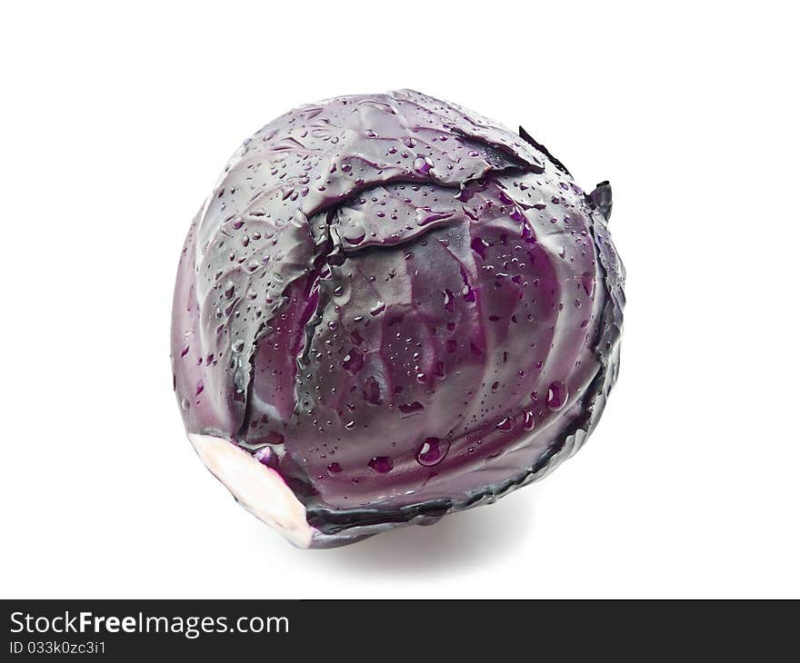 Purple cabbage on white background