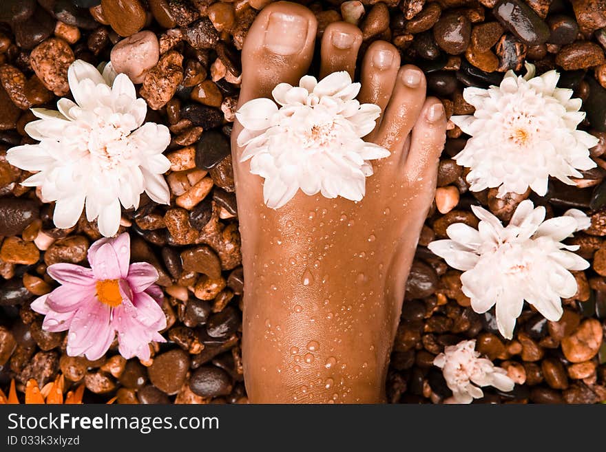 Bronzed wet foot on a stone beach with flowers