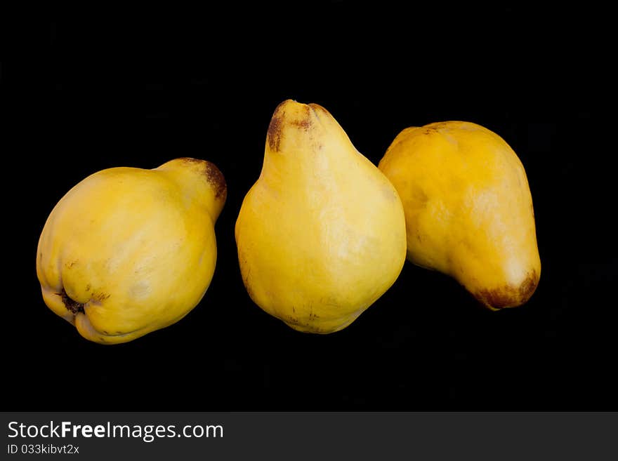 Three yellow quinces in isolated on black background. Three yellow quinces in isolated on black background