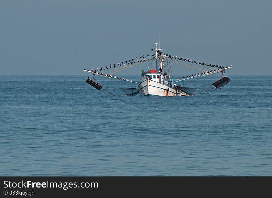 Fishing boat decorated with birds