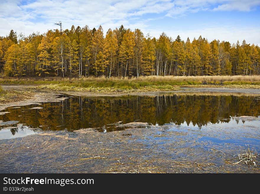 Autumn landscape. Lake in forest with reflection of clouds. Autumn landscape. Lake in forest with reflection of clouds.