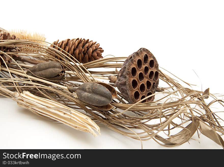 Dry Flowers