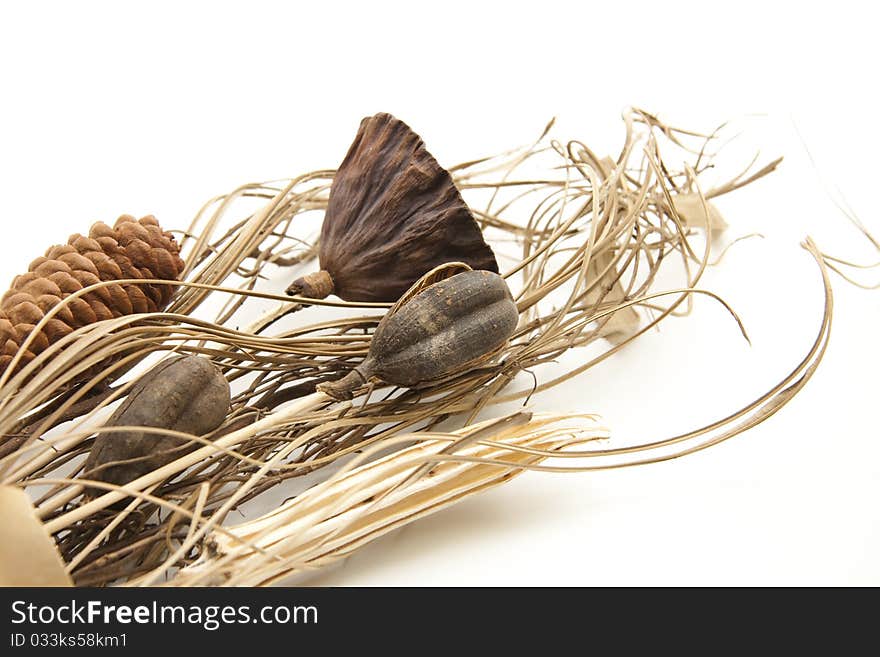 Dried flowers