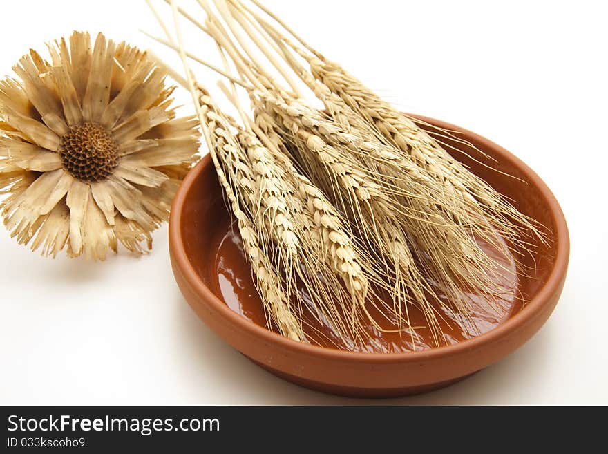 Wheat ears on ceramics lower plate. Wheat ears on ceramics lower plate