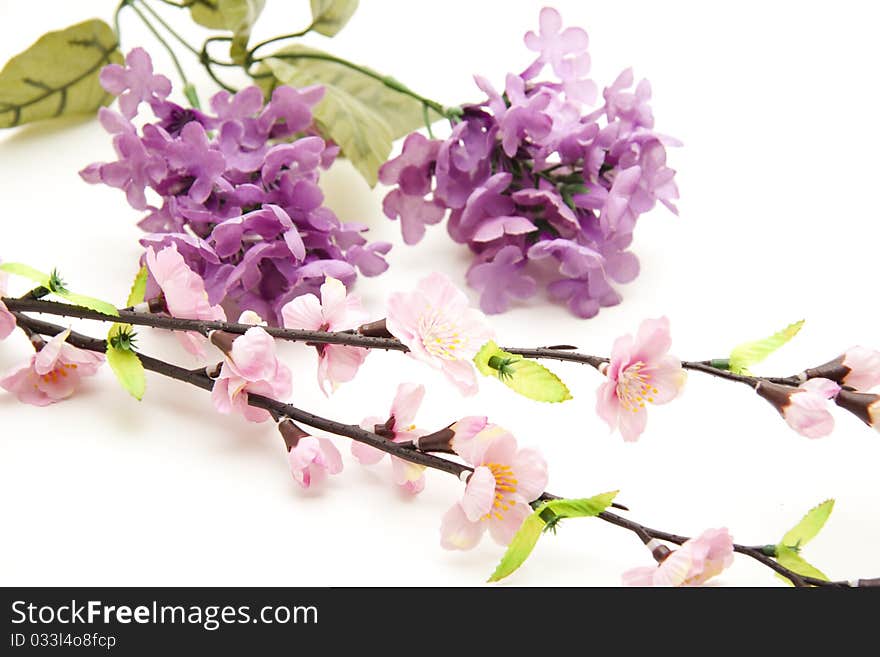 Branch with blossom