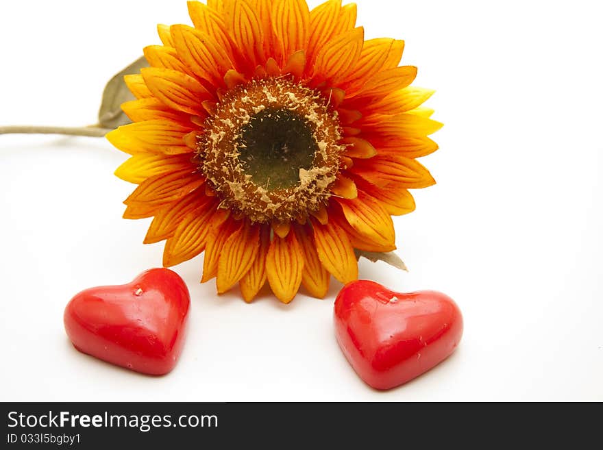 Sunflower And Candle