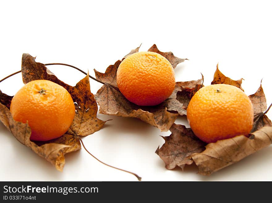 Tangerines with shell on leave. Tangerines with shell on leave