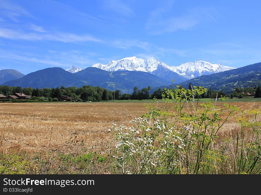 Mont-Blanc and flowers and trees and sky blue