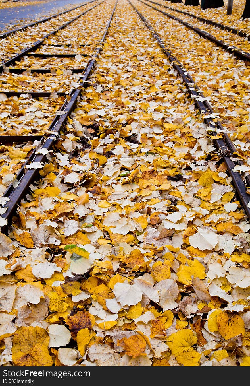 Autumn in Italy