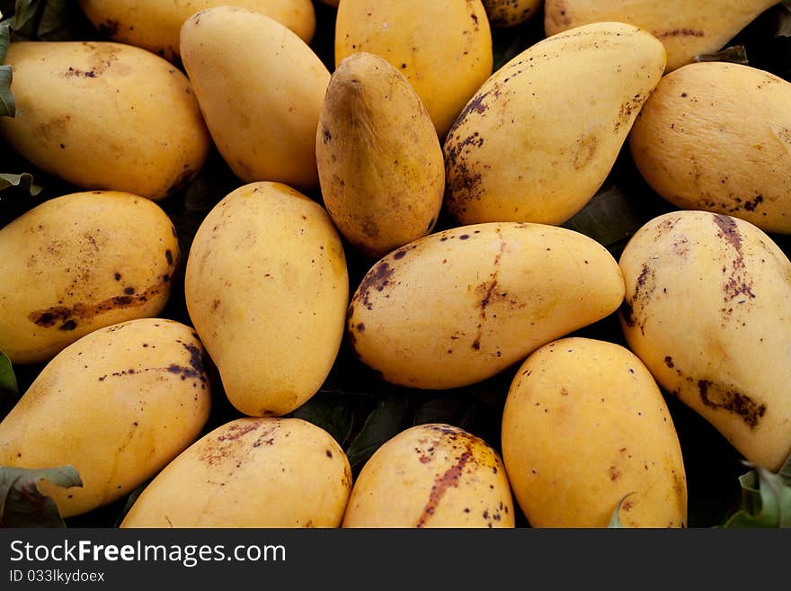 Golden mangoes