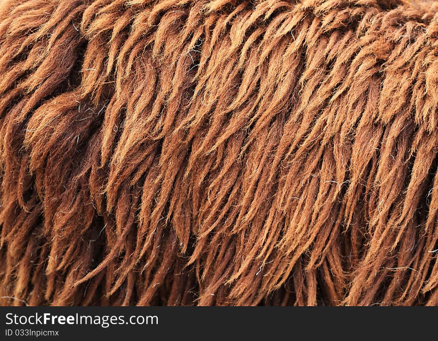 Details of Brown Sheepskin Background