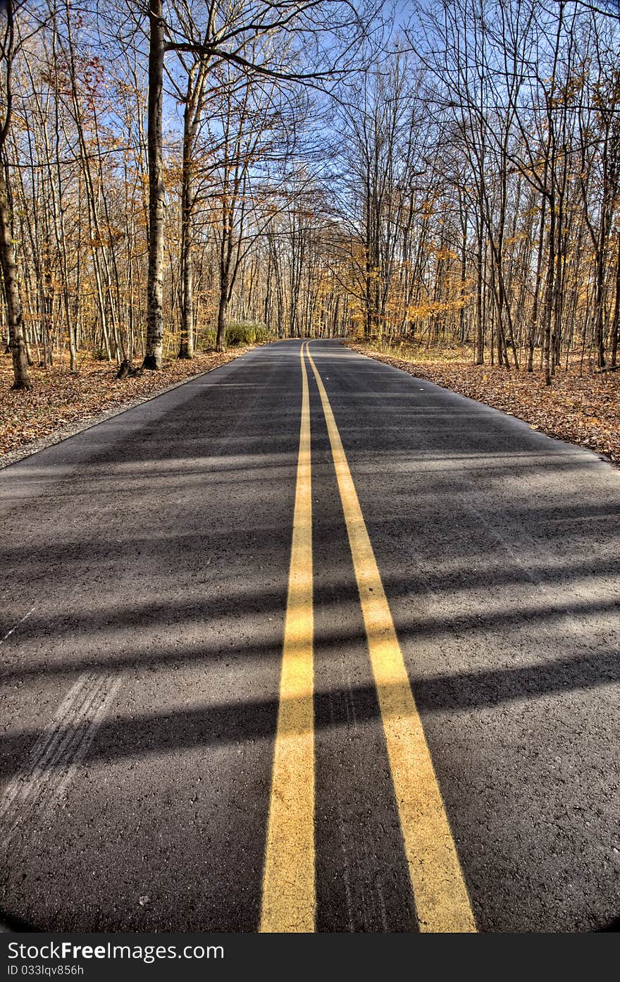 Autumn Leaves on road northern Michigan