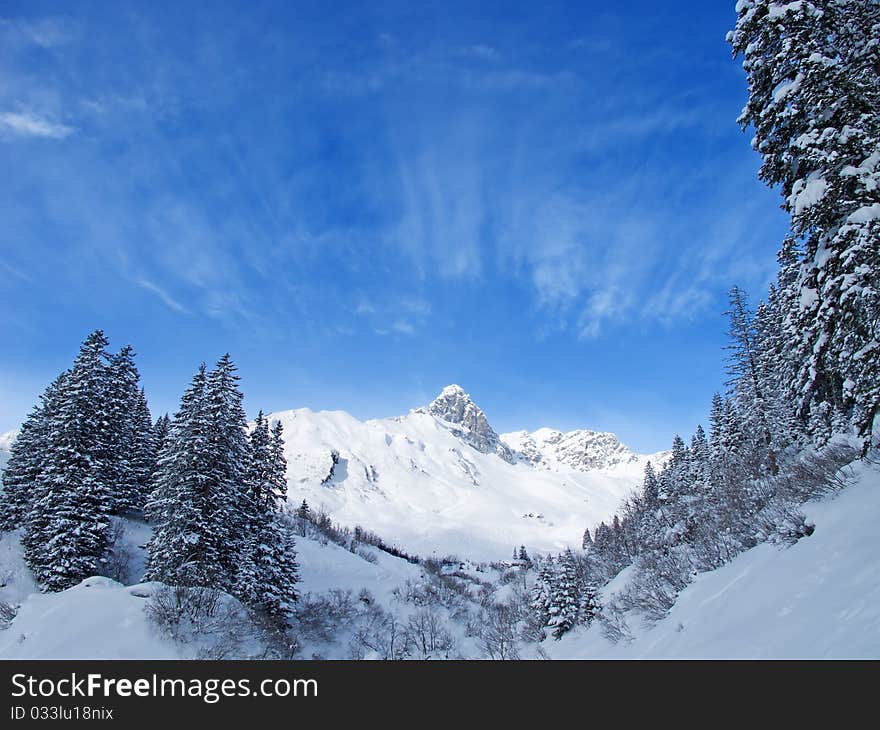 Skiing slope