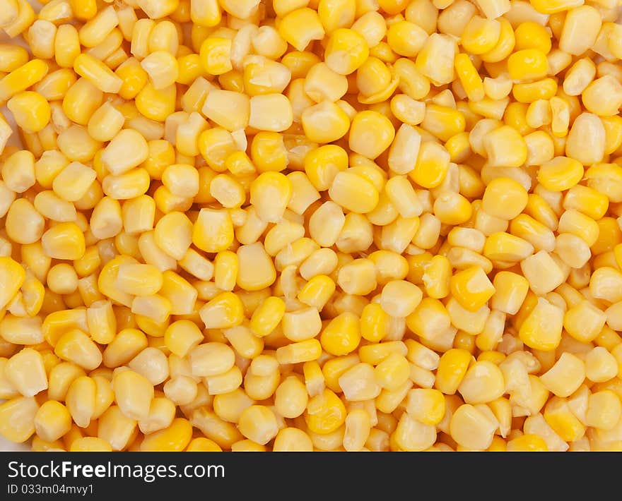 Background of yellow ripe appetizing wet corn. Background of yellow ripe appetizing wet corn