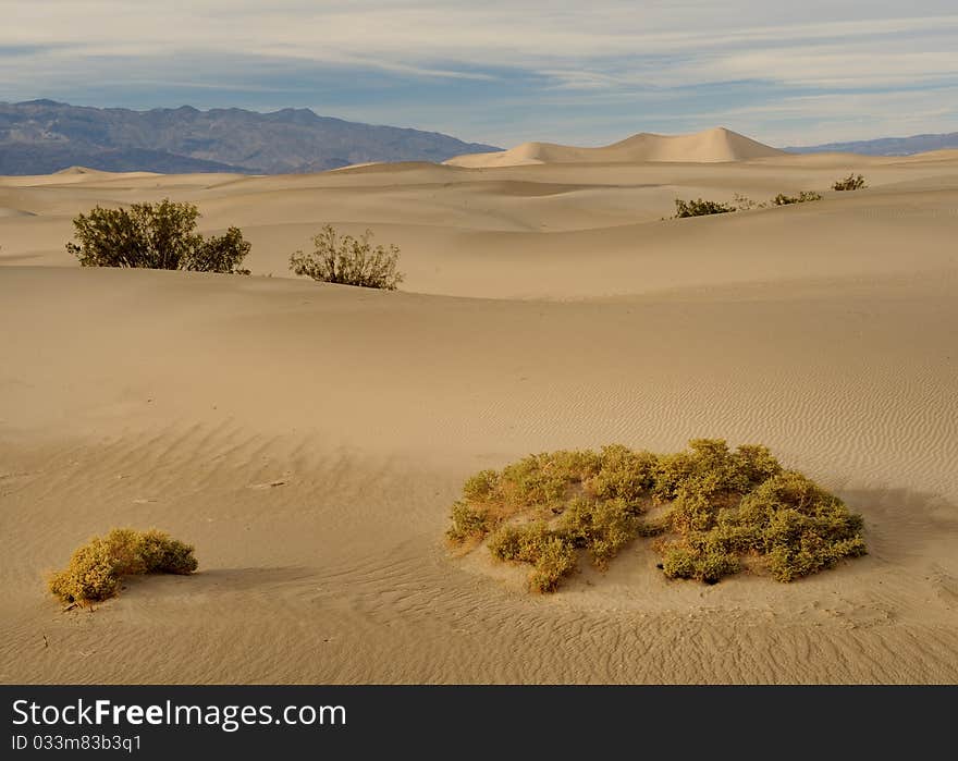 Mesquite Sand Dunes