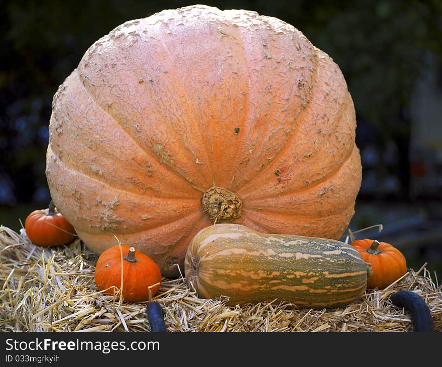 Pumpkin on straw