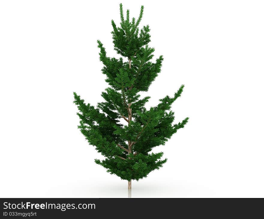 Big Christmas Tree â„–7