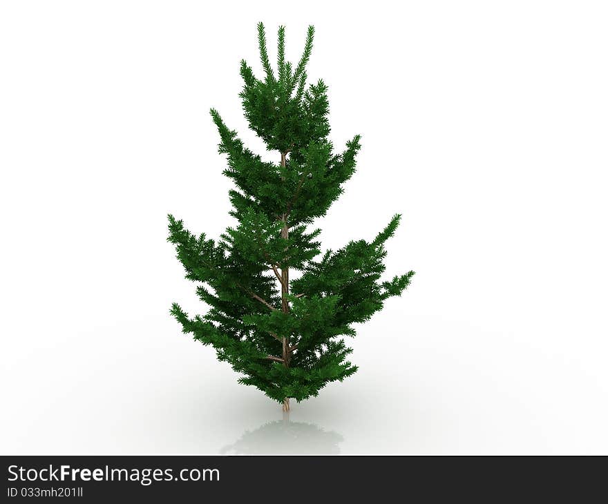 Big Christmas Tree â„–8