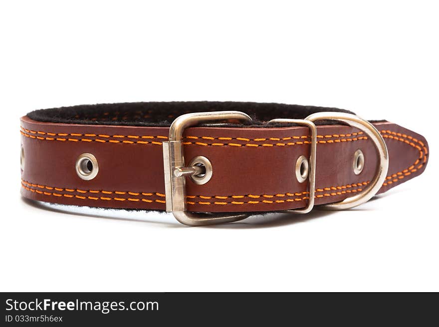 Leather Dog Collar