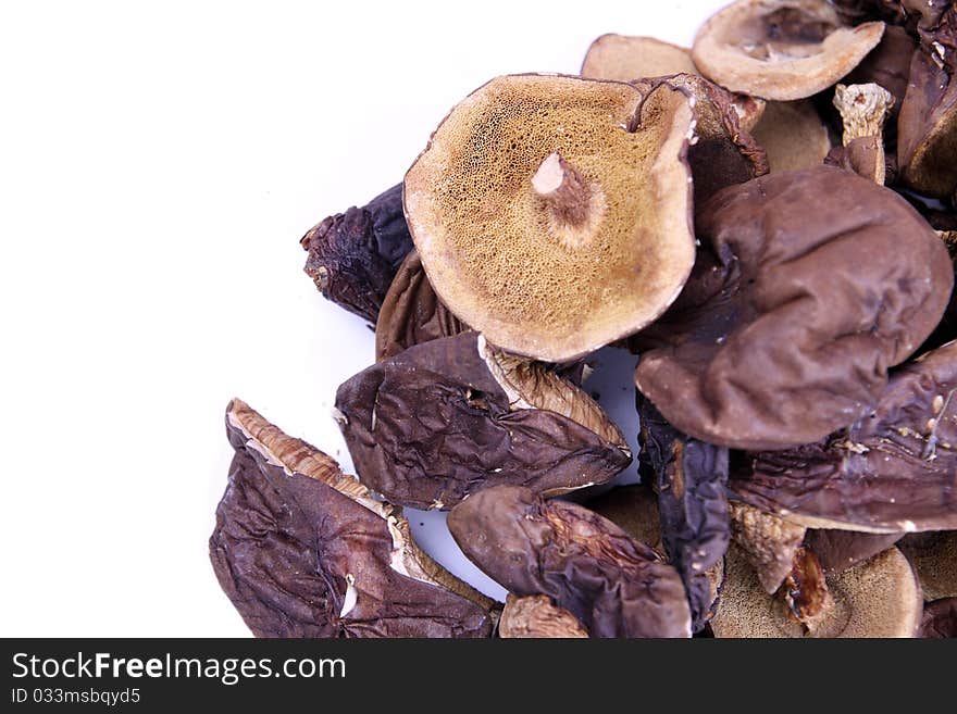 A few dried mushrooms on a white background. A few dried mushrooms on a white background