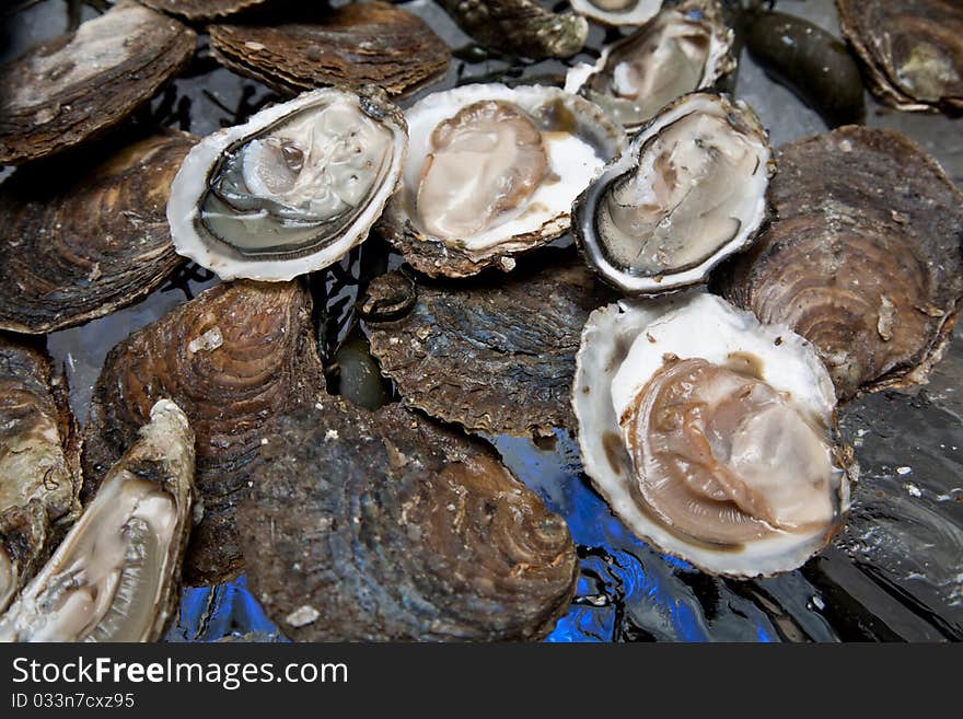 Fresh oysters are laid out on the ice. Fresh oysters are laid out on the ice.