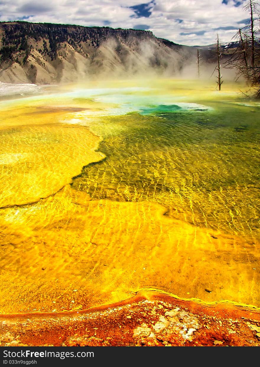 A view of a hot spring in Yellowstone. A view of a hot spring in Yellowstone