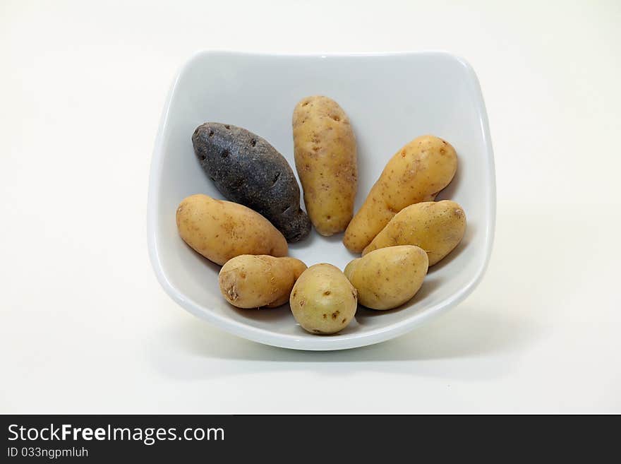 Diversity themed fingerling potatoes on white bowl; white background. Diversity themed fingerling potatoes on white bowl; white background.