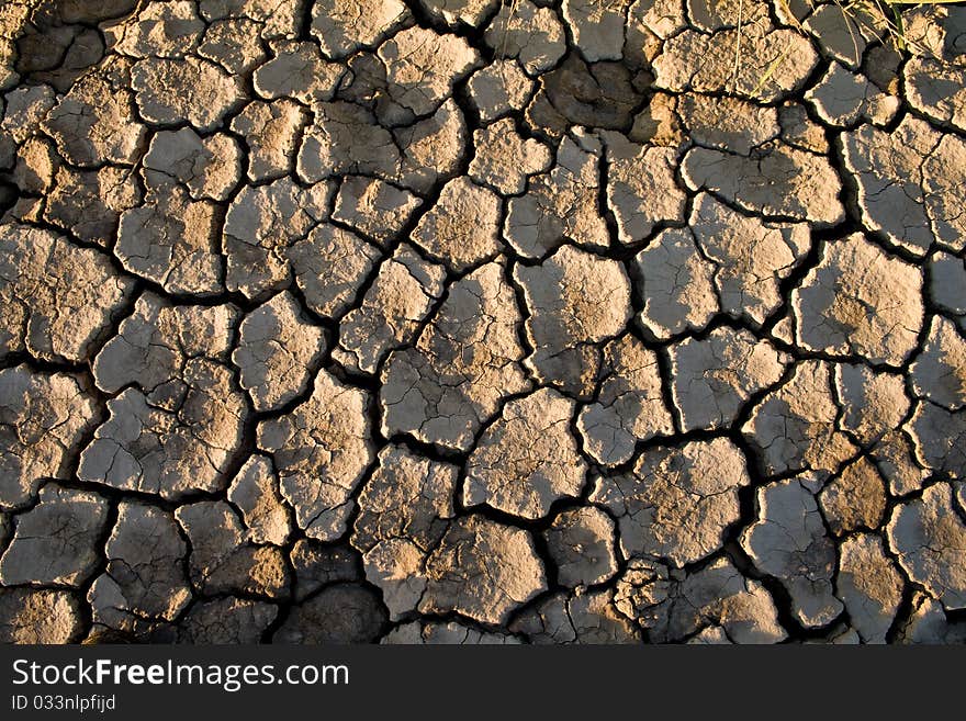 The soil in the fissures appeared on the long-term heat