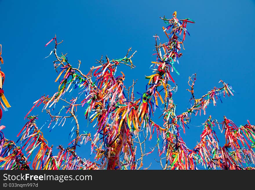 Wish Tree