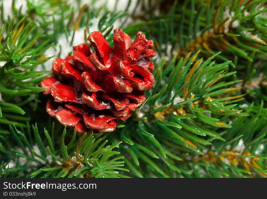 Green round Christmas wreath on white background