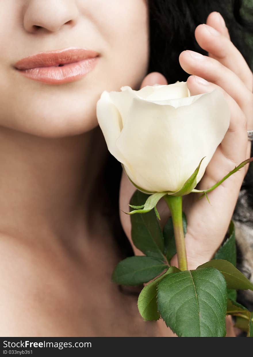 Closeup shot of white rose at girls hand. Closeup shot of white rose at girls hand